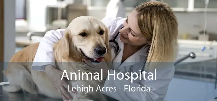 Animal Hospital Lehigh Acres - Florida