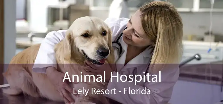 Animal Hospital Lely Resort - Florida