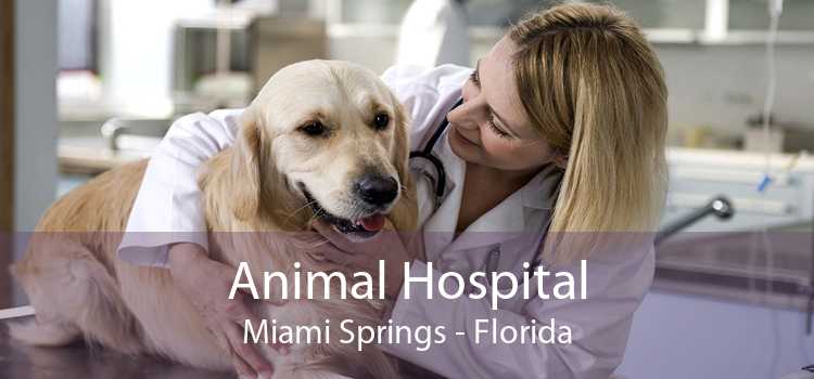 Animal Hospital Miami Springs - Florida