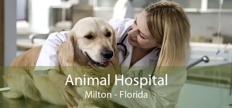Animal Hospital Milton - Florida