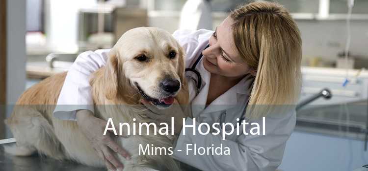 Animal Hospital Mims - Florida