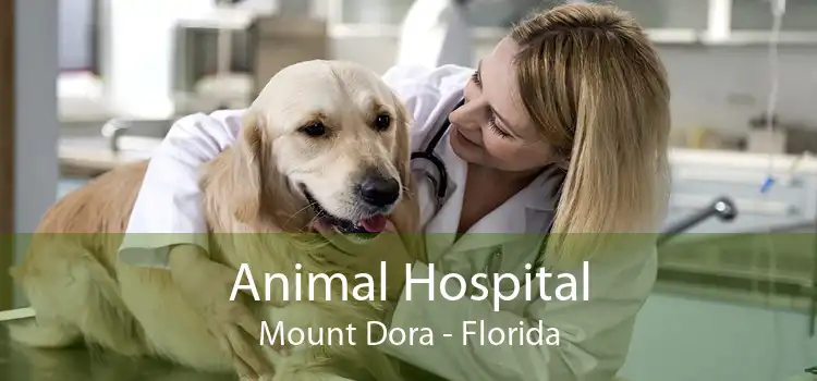 Animal Hospital Mount Dora - Florida