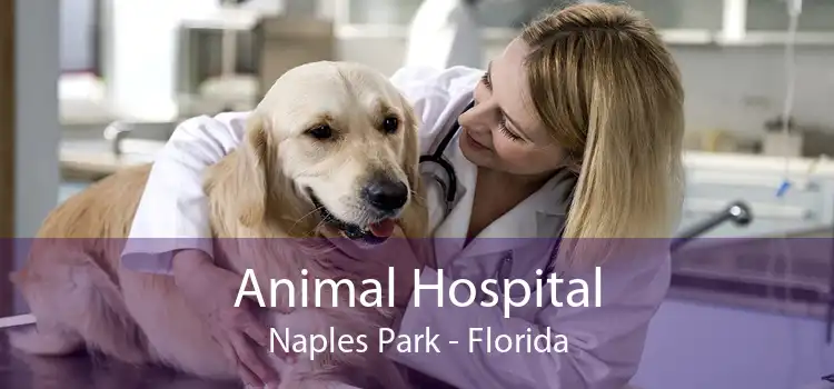 Animal Hospital Naples Park - Florida