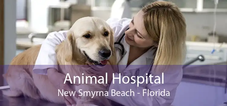 Animal Hospital New Smyrna Beach - Florida