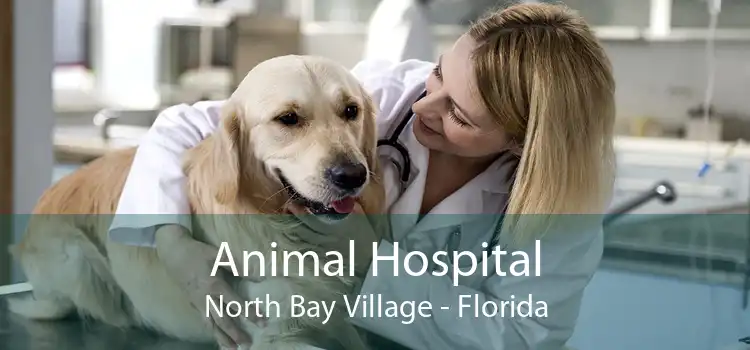 Animal Hospital North Bay Village - Florida