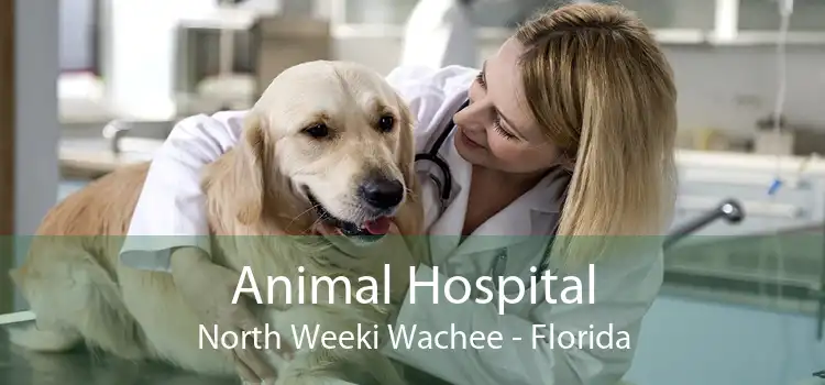 Animal Hospital North Weeki Wachee - Florida