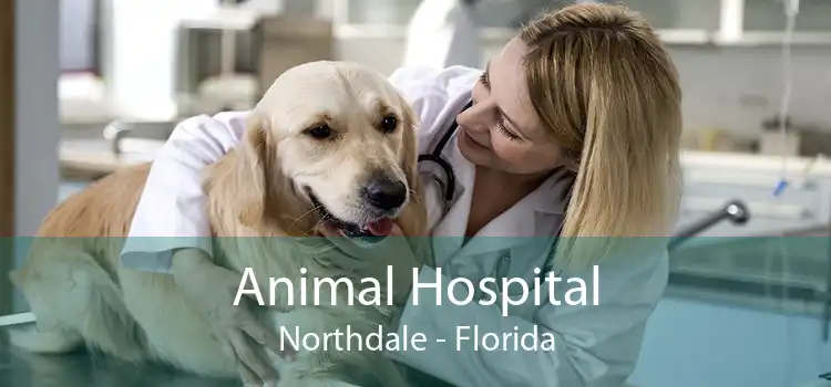 Animal Hospital Northdale - Florida