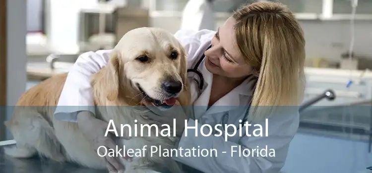 Animal Hospital Oakleaf Plantation - Florida