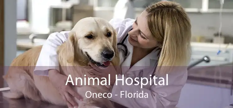 Animal Hospital Oneco - Florida