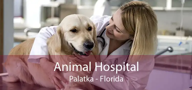 Animal Hospital Palatka - Florida