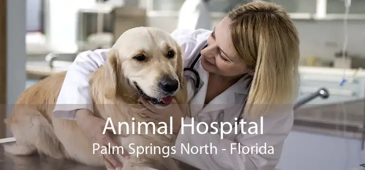 Animal Hospital Palm Springs North - Florida