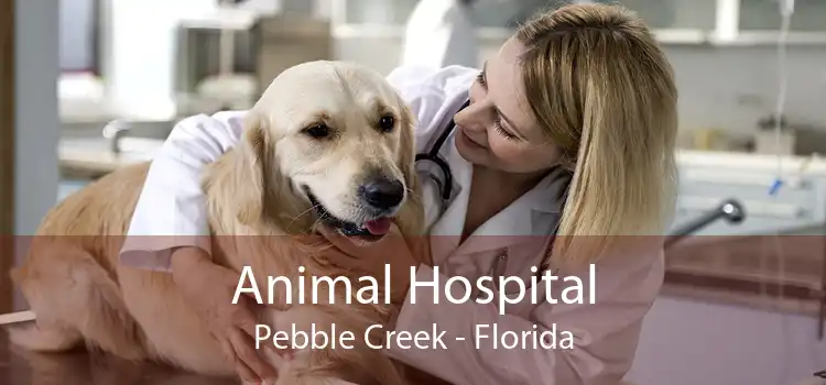 Animal Hospital Pebble Creek - Florida