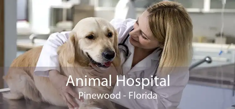 Animal Hospital Pinewood - Florida