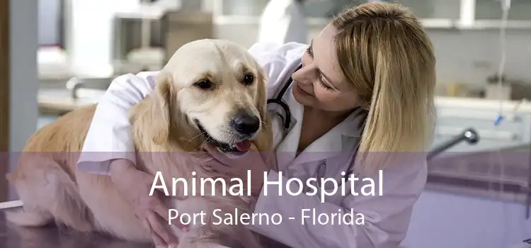 Animal Hospital Port Salerno - Florida