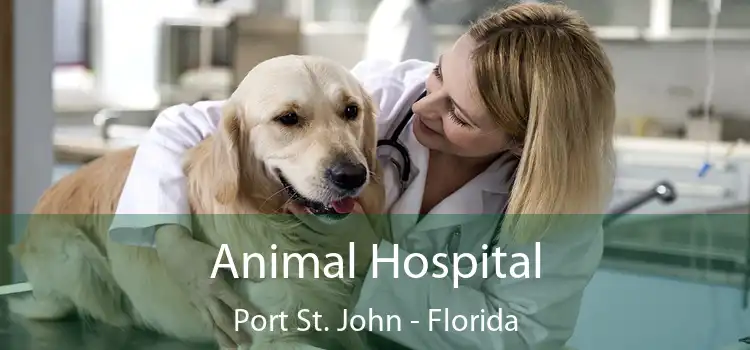 Animal Hospital Port St. John - Florida