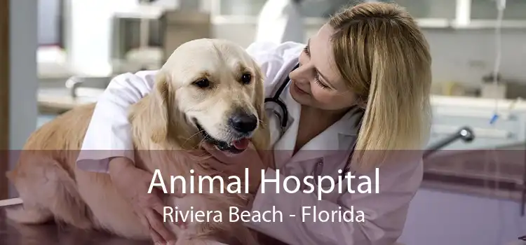 Animal Hospital Riviera Beach - Florida