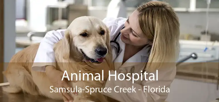 Animal Hospital Samsula-Spruce Creek - Florida