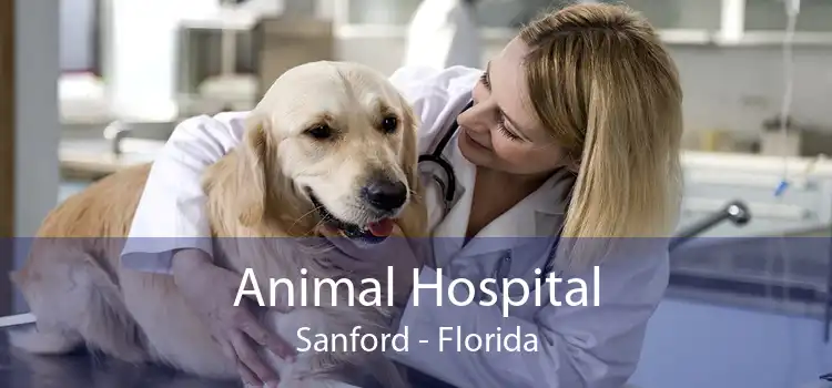 Animal Hospital Sanford - Florida