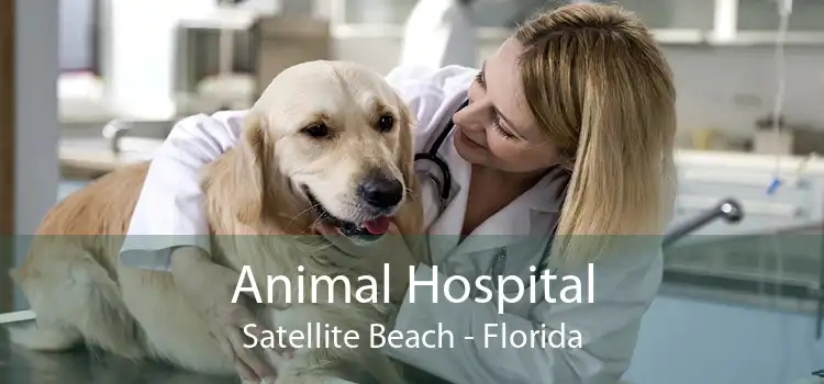 Animal Hospital Satellite Beach - Florida