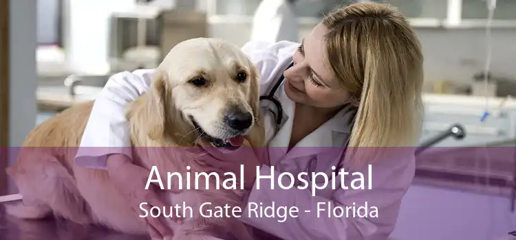 Animal Hospital South Gate Ridge - Florida
