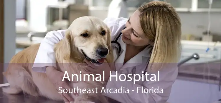Animal Hospital Southeast Arcadia - Florida
