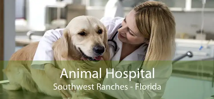 Animal Hospital Southwest Ranches - Florida