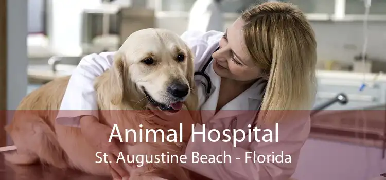 Animal Hospital St. Augustine Beach - Florida