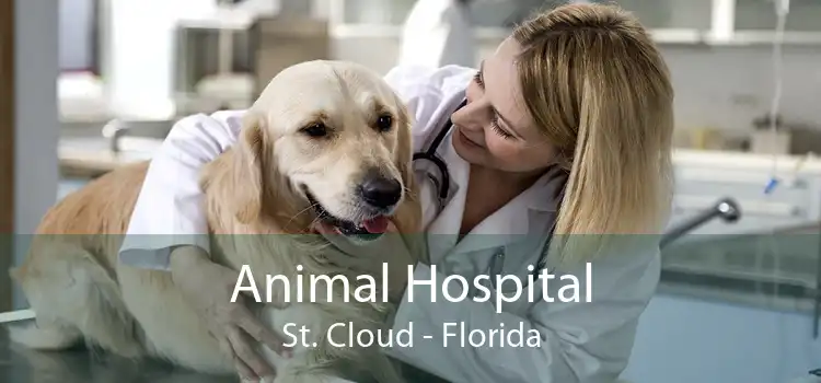 Animal Hospital St. Cloud - Florida
