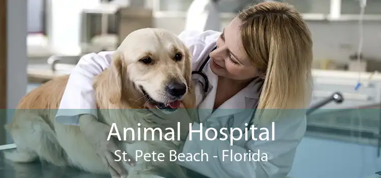 Animal Hospital St. Pete Beach - Florida
