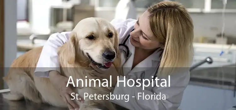 Animal Hospital St. Petersburg - Florida