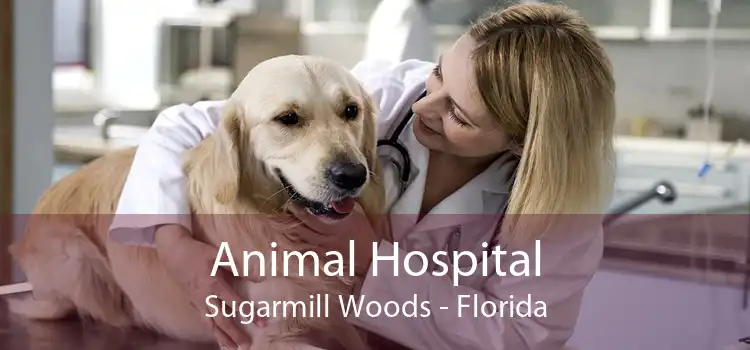 Animal Hospital Sugarmill Woods - Florida