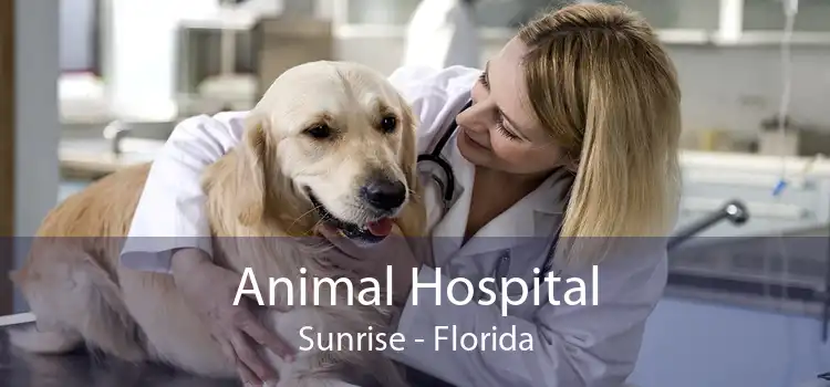 Animal Hospital Sunrise - Florida