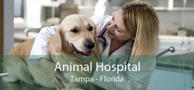 Animal Hospital Tampa - Florida