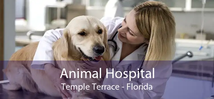 Animal Hospital Temple Terrace - Florida