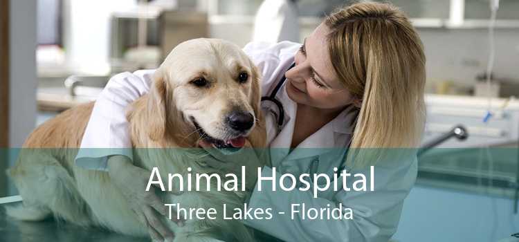 Animal Hospital Three Lakes - Florida