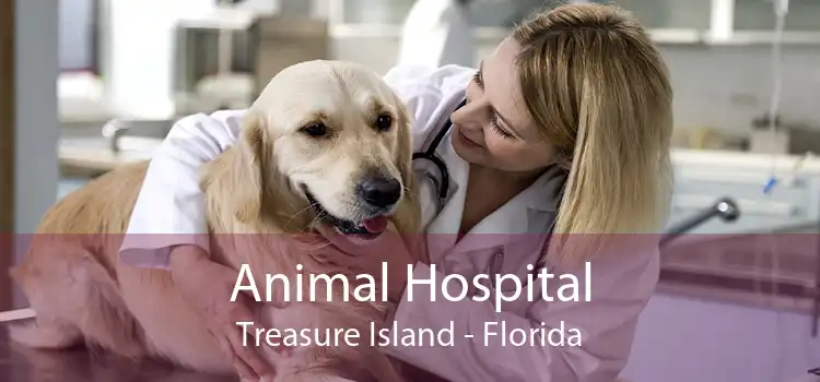 Animal Hospital Treasure Island - Florida