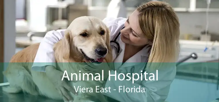 Animal Hospital Viera East - Florida