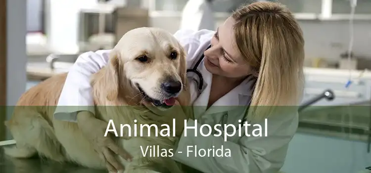 Animal Hospital Villas - Florida