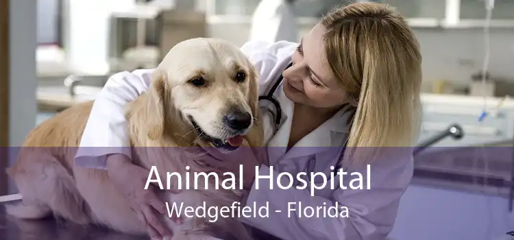 Animal Hospital Wedgefield - Florida
