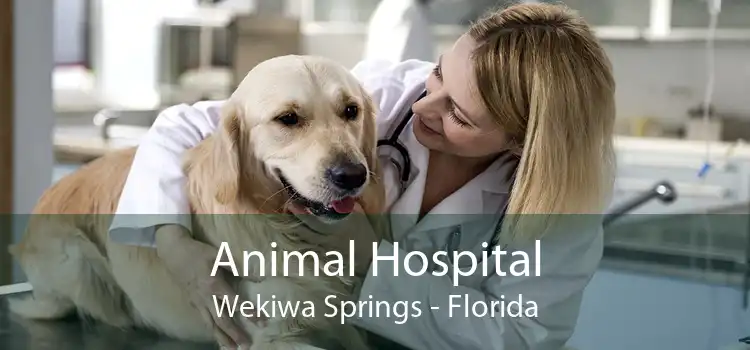 Animal Hospital Wekiwa Springs - Florida