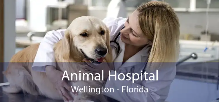 Animal Hospital Wellington - Florida
