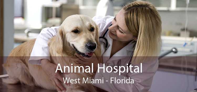 Animal Hospital West Miami - Florida