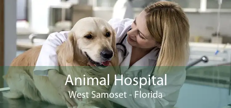 Animal Hospital West Samoset - Florida