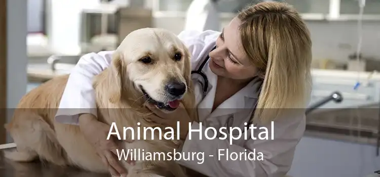 Animal Hospital Williamsburg - Florida