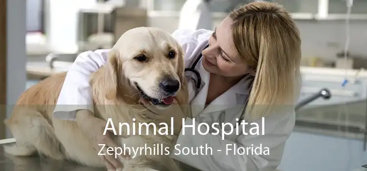 Animal Hospital Zephyrhills South - Florida