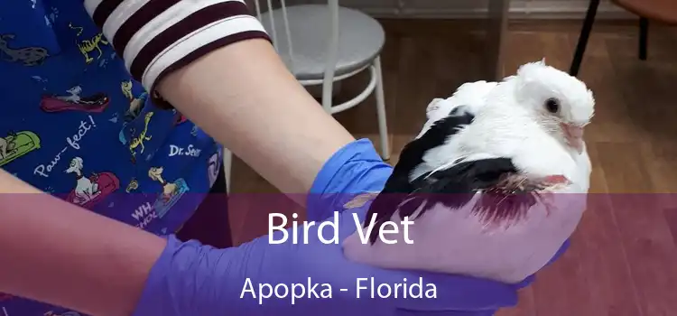 Bird Vet Apopka - Florida