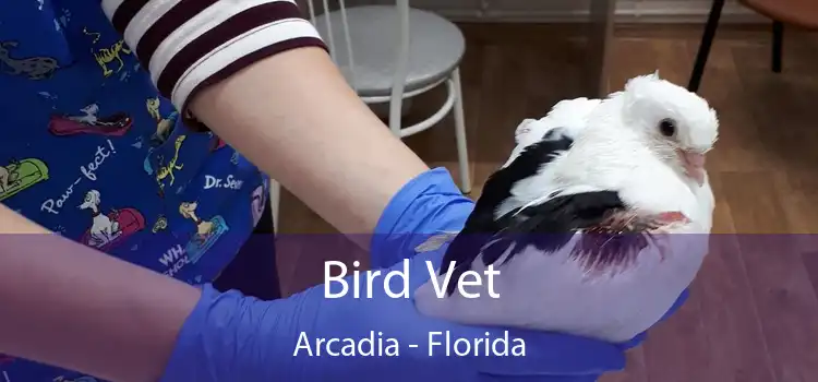 Bird Vet Arcadia - Florida