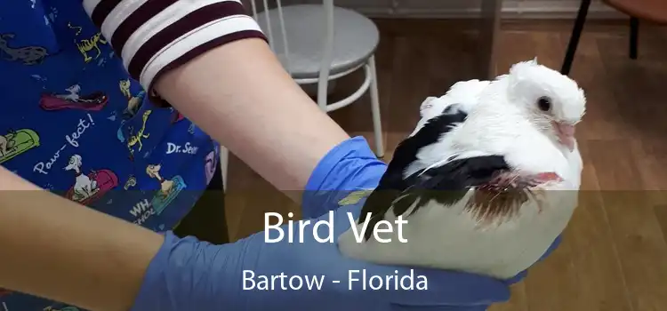 Bird Vet Bartow - Florida