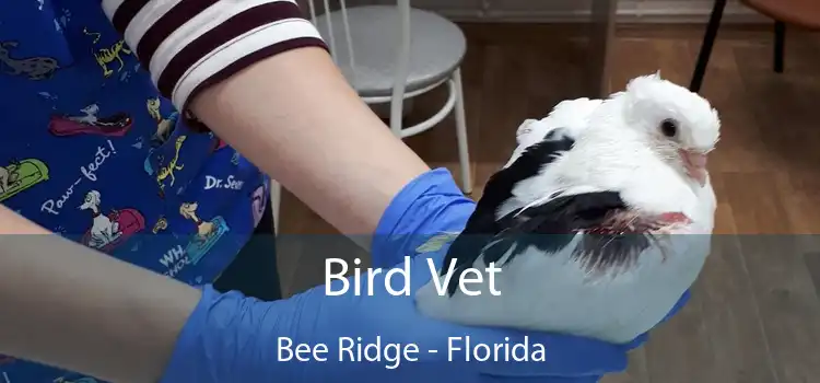 Bird Vet Bee Ridge - Florida