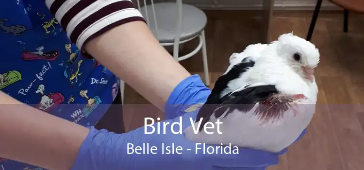 Bird Vet Belle Isle - Florida